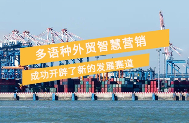 中国外贸的未来，藏在小语种流量池里